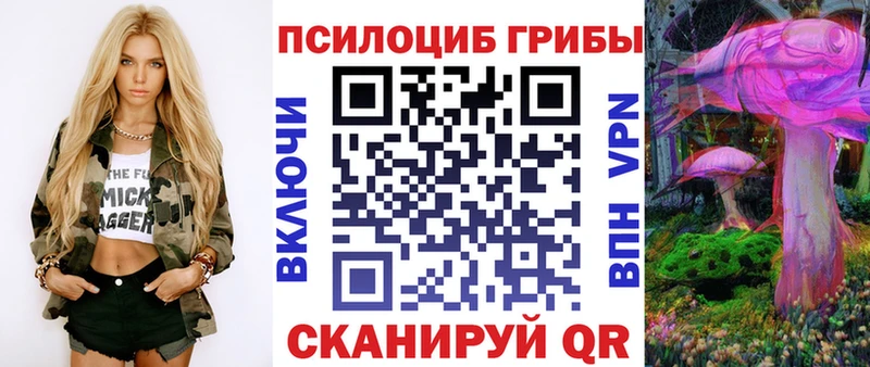 Псилоцибиновые грибы мицелий  купить закладку  Кяхта 